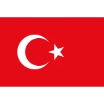 Turkey medium hand flag (Turkiye)
