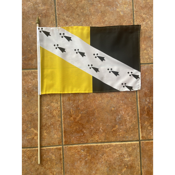 Norfolk large hand flag