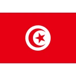Tunisia Hand Flag