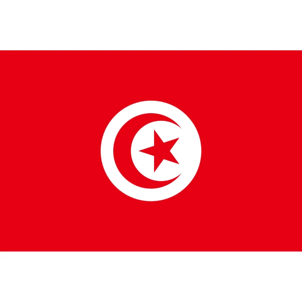Tunisia medium hand flag