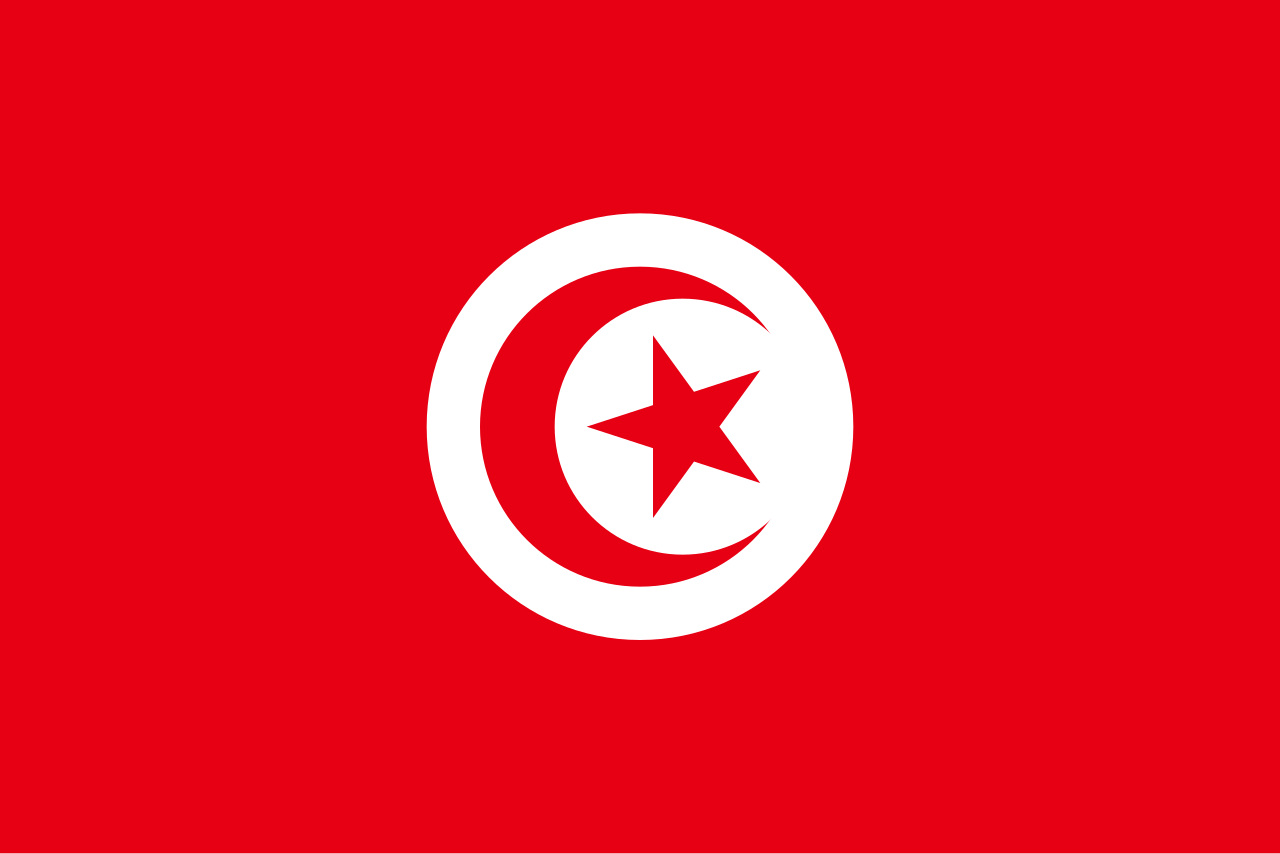 Tunisia Tunisia 3'x2' - Image 1