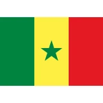 Senegal medium hand flag