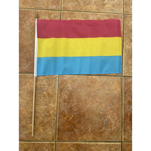 Pansexual large hand flag (Gay Pride)