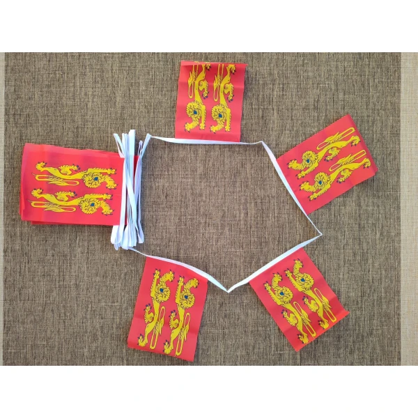 6m 20 flag Normandy bunting