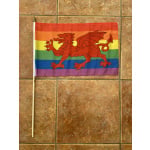Gay Pride Wales Large Hand Flag