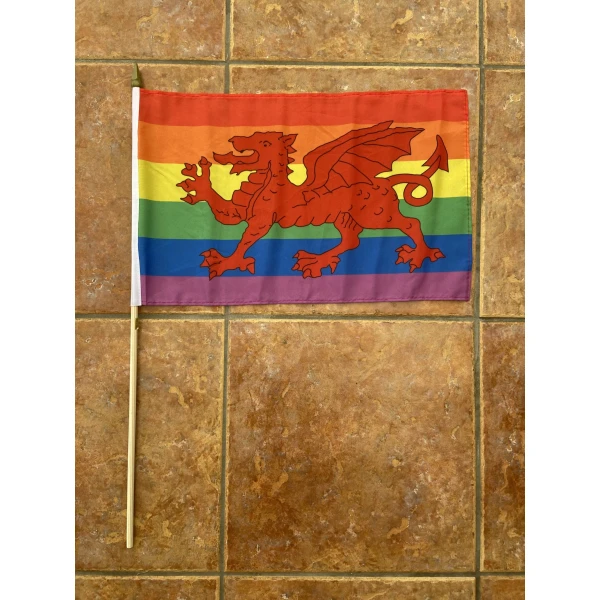 Gay Pride Wales Large Hand Flag
