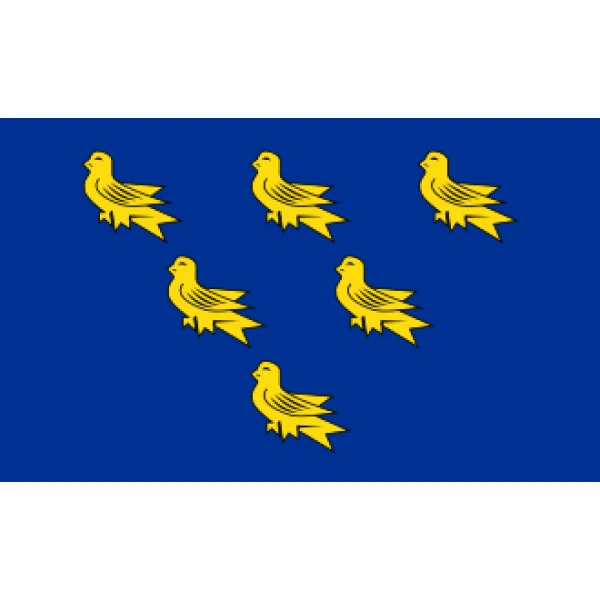 Sussex medium hand flag
