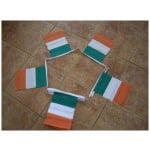 3m 10 flag Ireland Tri-colour Bunting - Image 2