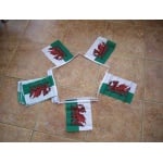 3m-10-flag-welsh-dragon-bunting