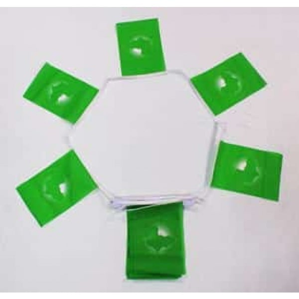 6m 20 flag African Union bunting