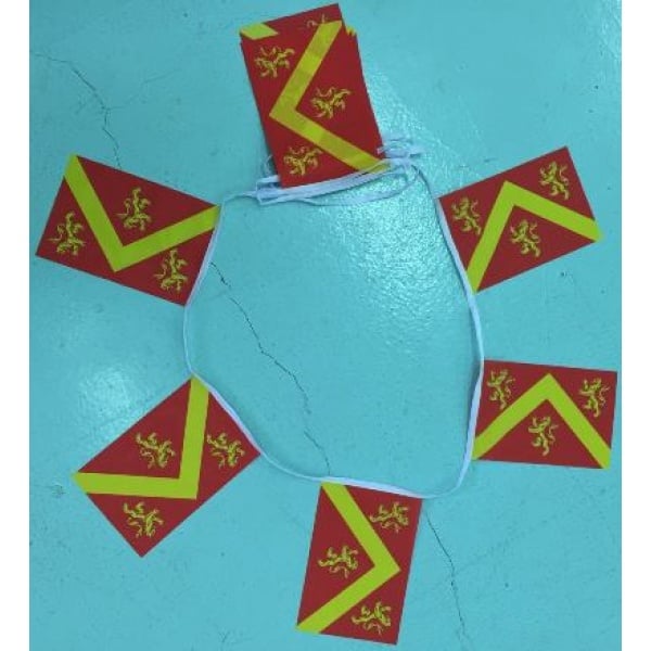 6m 20 flag Anglesey bunting