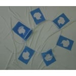 6m 20 flag Antarctica bunting