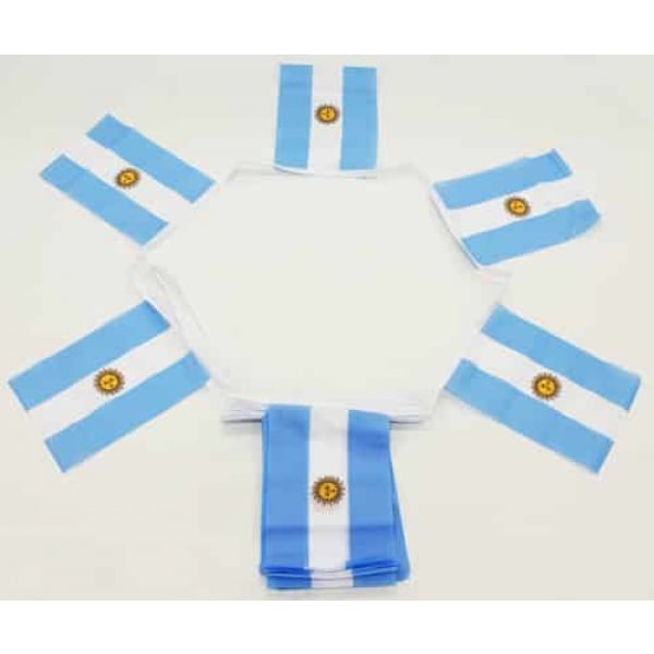 6m 20 flag Argentina Bunting