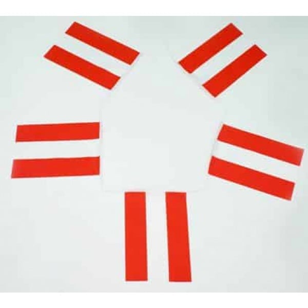 6m 20 flag Austria bunting
