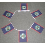 6m 20 flag Belize bunting