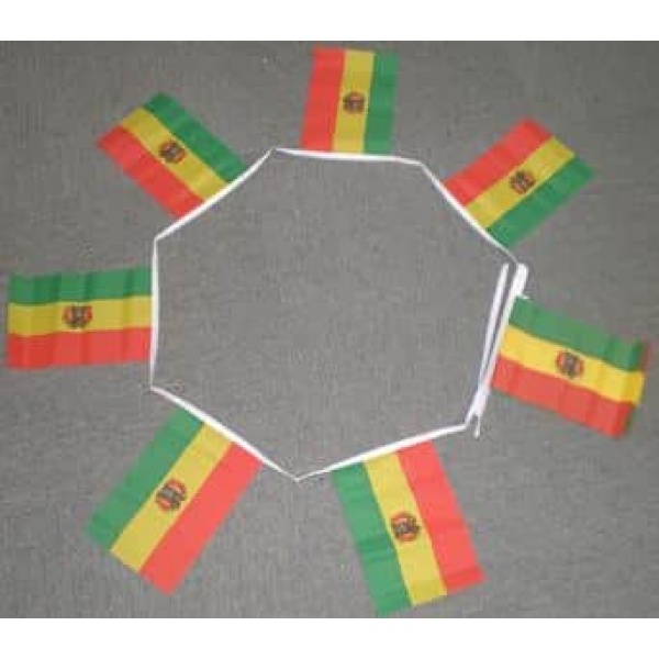 6m 20 flag Bolivia bunting