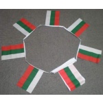 6m 20 flag Bulgaria bunting