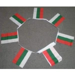 6m 20 flag Bulgaria bunting