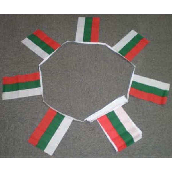 6m 20 flag Bulgaria bunting