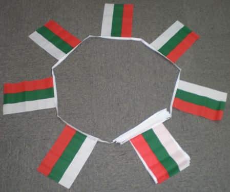 6m-20-flag-bulga-4ea956a1e3a05 6m 20 flag Bulgaria bunting - Image 1