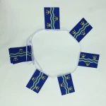 6m 20 flag Cambridgeshire New bunting