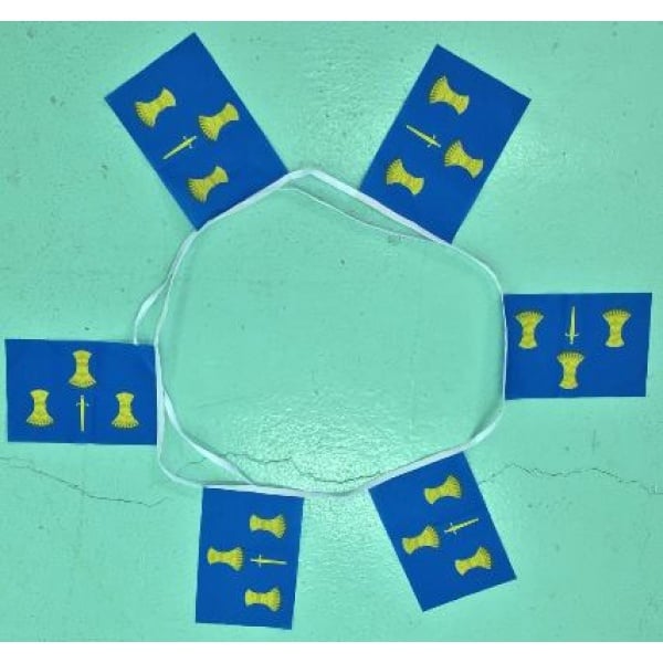 6m 20 flag Cheshire bunting