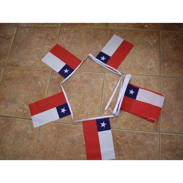 6m 20 flag Chile bunting