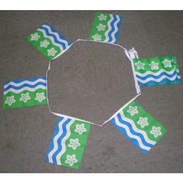 6m 20 flag Cumberland bunting