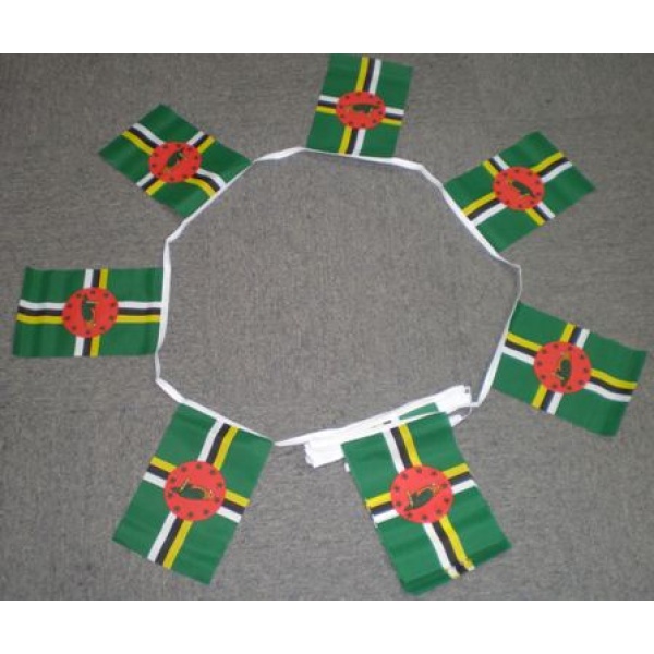 6m 20 flag Dominica bunting