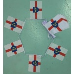 6m 20 flag East Anglia bunting
