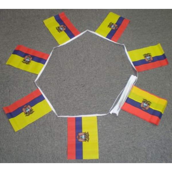 6m 20 flag Ecuador bunting