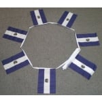 6m 20 flag El Salvador bunting
