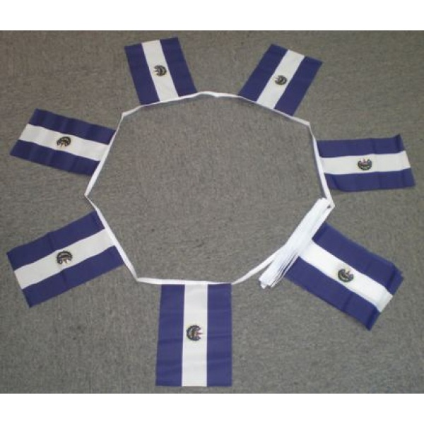 6m 20 flag El Salvador bunting