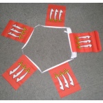 6m 20 flag Essex bunting