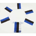 6m 20 flag Estonia Bunting