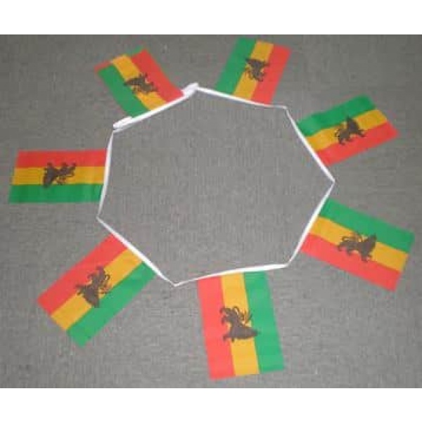 6m 20 flag Ethiopia with Lion bunting