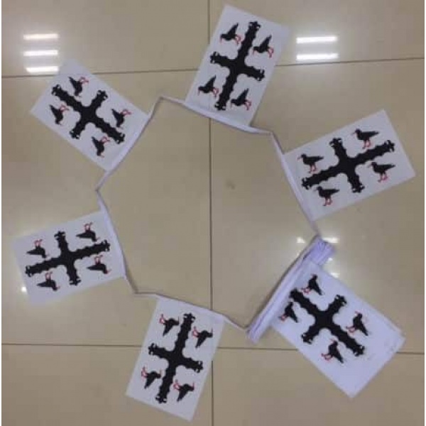 6m 20 flag Flintshire bunting