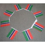 6m 20 flag Gambia bunting