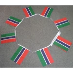 6m 20 flag Gambia bunting