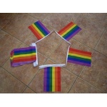 6m 20 Flags Gay Pride Rainbow Bunting
