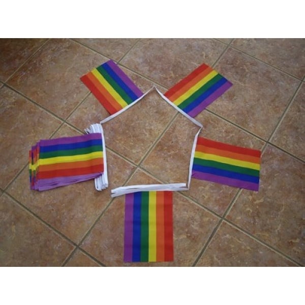 6m 20 Flags Gay Pride Rainbow Bunting