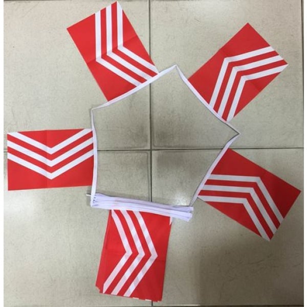 6m 20 flag Glamorgan bunting