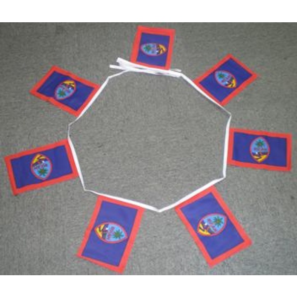 6m 20 flag Guam bunting