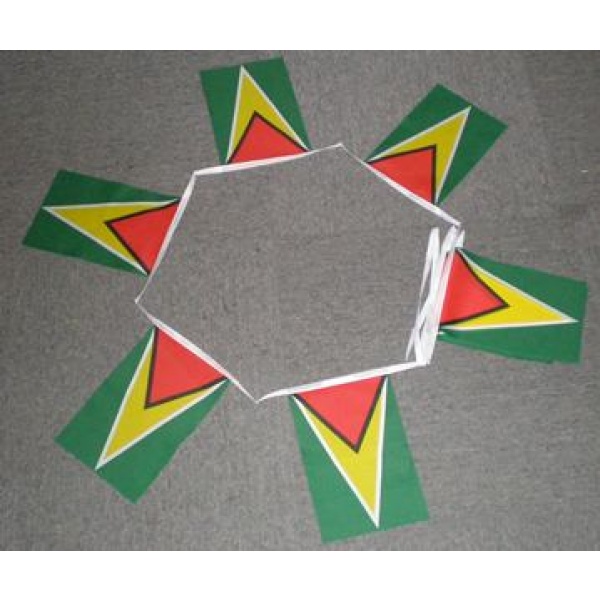 6m 20 flag Guyana bunting