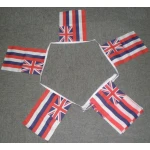 6m-20-flag-hawaii-bunting