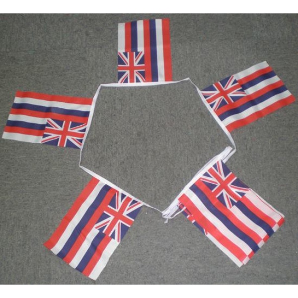6m-20-flag-hawaii-bunting
