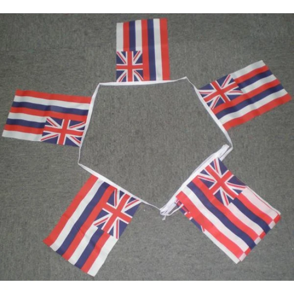 6m-20-flag-hawaii-bunting