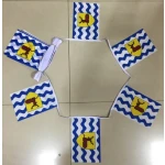 6m 20 flag Hertfordshire bunting
