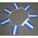 6m 20 flag Honduras bunting