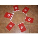 6m 20 flag Hong Kong bunting